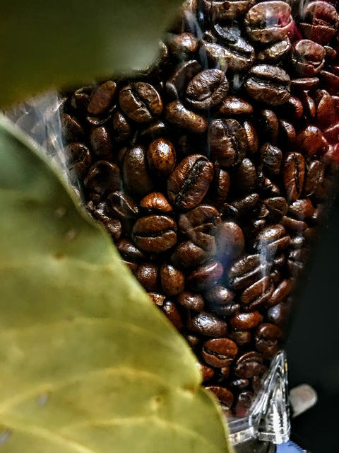 Koffein